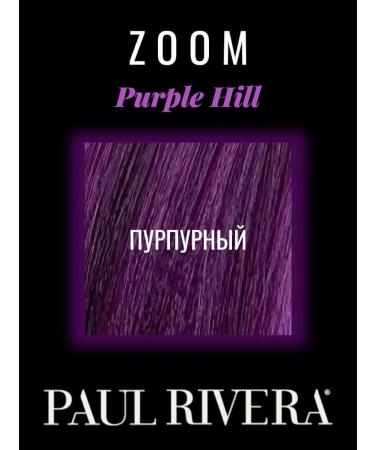 PAUL RIVERA Tinting hair mask zoom lilac - Buy Online on GoSupps.com