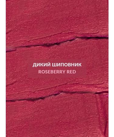 AVON Lipstick matte persistent - Buy Online on GoSupps.com