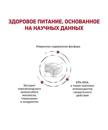 ROYAL CANIN Dry food Early Renal for cats 3.5 kg - Buy Online on GoSupps.com