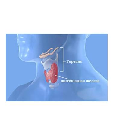 The Ural Nature Reserve The thyroid gland is healthy - Buy Online on GoSupps.com