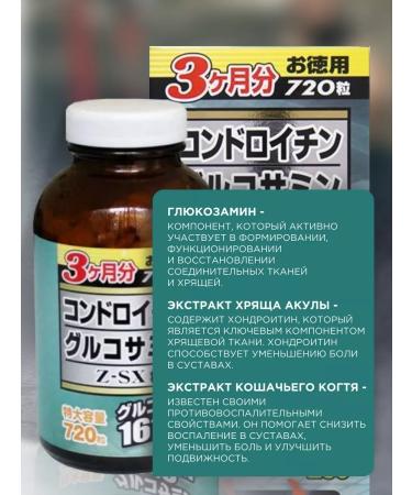 Wellness Japan Glucosamine 1610mg for joints - Buy Online on GoSupps.com