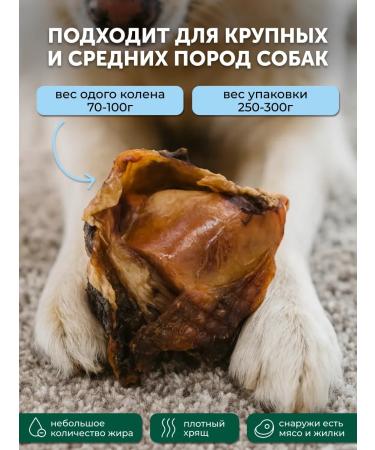 Galu Beef knee for dogs long -playing treats - Buy Online on GoSupps.com