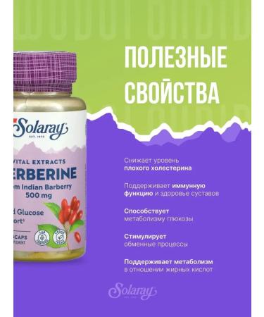 Solaray Berberin 500 mg 60 vegetarian capsules - Buy Online on GoSupps.com