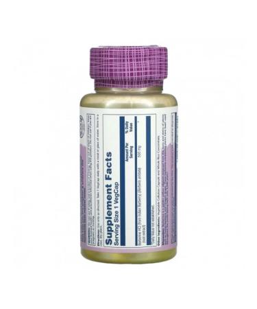 Solaray Berberin 500 mg 60 vegetarian capsules - Buy Online on GoSupps.com