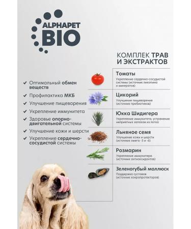 AlphaPet Dry food for dogs of small breeds of lambs and rice 500g - Buy Online on GoSupps.com