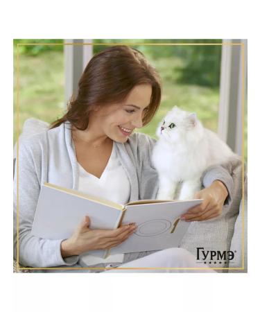 Gourmet Cat food for moist pearl peel de luxury salmon 75 g 26 pcs - Buy Online on GoSupps.com