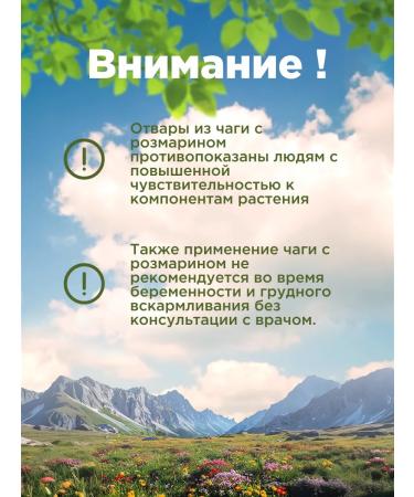 Native herbs Chaga with rosemary birch mushroom tea - Buy Online on GoSupps.com