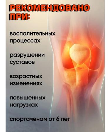 Sustal Joint capsule for joints and ligaments 1 pcs - Buy Online on GoSupps.com