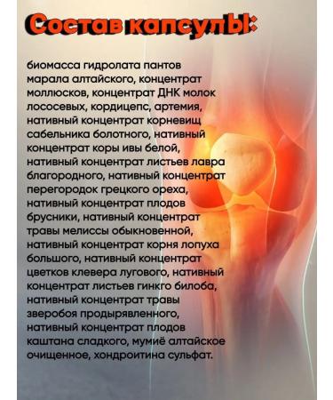 Sustal Joint capsule for joints and ligaments 1 pcs - Buy Online on GoSupps.com