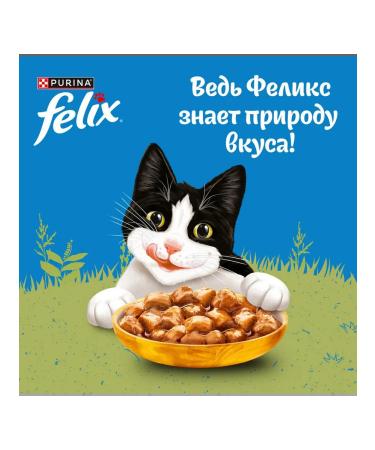 FELIX Feed is the humid nature of taste for cats chicken 75 g 26 pcs - Buy Online on GoSupps.com