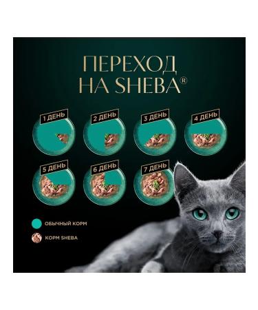 Sheba Cat food for a wet duck in sauce 75 g 28 pcs - Buy Online on GoSupps.com