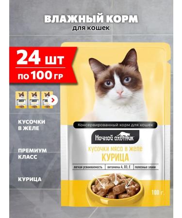 Night Hunter Cat food for a wet chicken in jelly 100 g 24 pcs