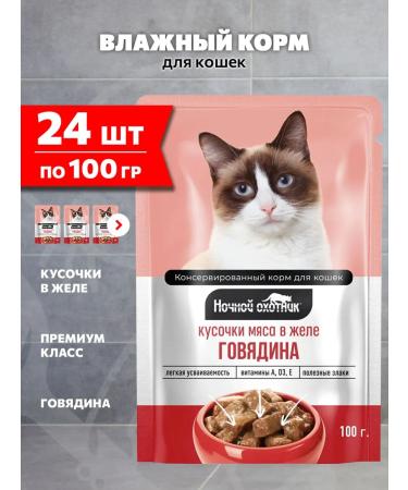 Night Hunter Cat food for a wet beef in jelly 100 g 24 pcs