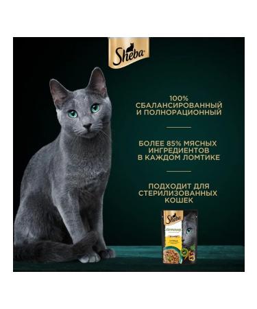 Sheba Cat food moist Natures chicken in sauce 75 g 28 pcs - Buy Online on GoSupps.com