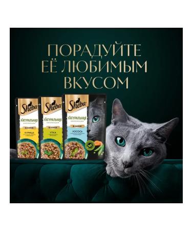 Sheba Cat food moist Natures salmon in sauce 75 g 28 pcs - Buy Online on GoSupps.com