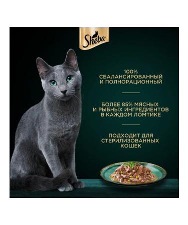 Sheba Cat food moist Natures salmon in sauce 75 g 28 pcs - Buy Online on GoSupps.com