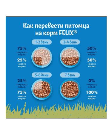 FELIX Feed is the humid nature of taste for cats beef 75 g 26 pcs - Buy Online on GoSupps.com