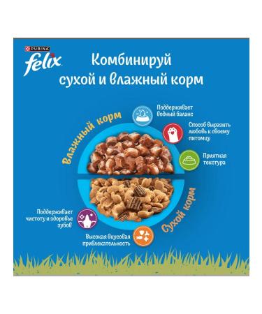 FELIX Feed is the humid nature of taste for cats beef 75 g 26 pcs - Buy Online on GoSupps.com