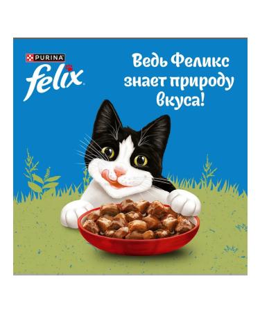 FELIX Feed is the humid nature of taste for cats beef 75 g 26 pcs - Buy Online on GoSupps.com
