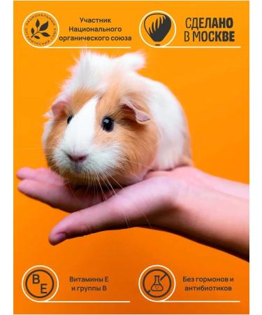 Groviti Vitamin complex for chinchillas pigs hamsters rats - Buy Online on GoSupps.com