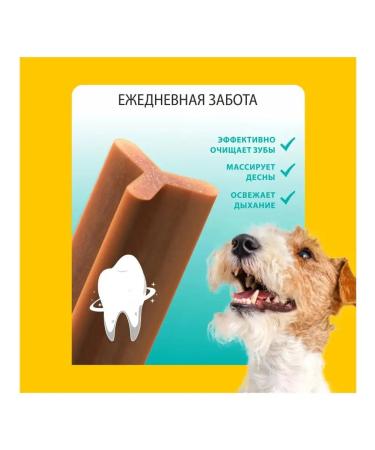 Titbit Dental CARE DOBRAGE FOR DOBRICTING TO TOME TEARS X 1pcs - Buy Online on GoSupps.com