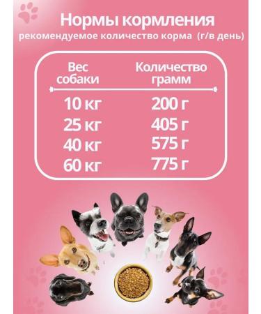 DILLY Dry food for dogs of all breeds - Buy Online on GoSupps.com