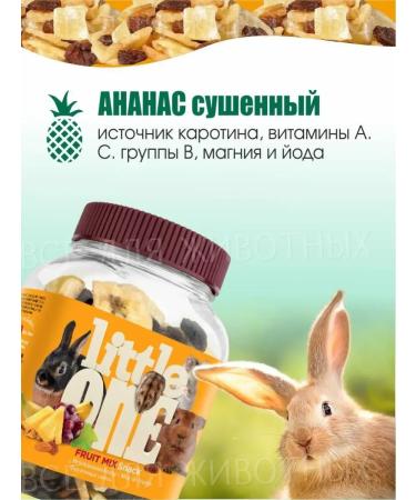 LITTLE ONE Additive to rodents feed a treat fruit mixture - Buy Online on GoSupps.com