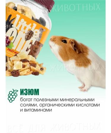 LITTLE ONE Additive to rodents feed a treat fruit mixture - Buy Online on GoSupps.com