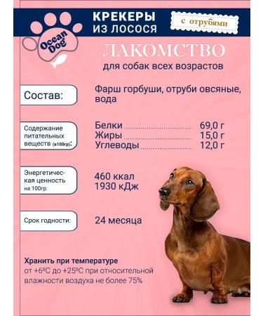 OCEANDOG Crackers from salmon with bran - Buy Online on GoSupps.com