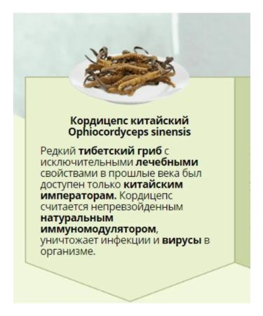 Indra Elixir Cordyceps 10 bottles of 10 ml extract - Buy Online on GoSupps.com