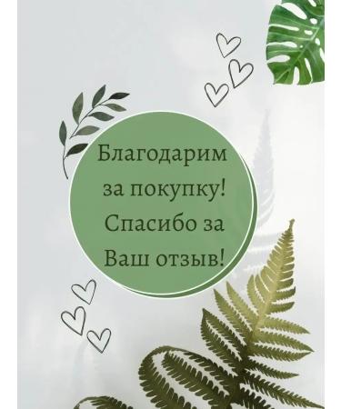Evalar turboslim tea cleansing 20 filter packages - Buy Online on GoSupps.com