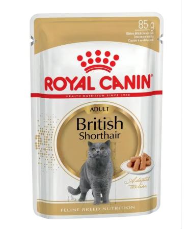 ROYAL CANIN British shorthair food for British cats 85 g x 28 pcs - Buy Online on GoSupps.com