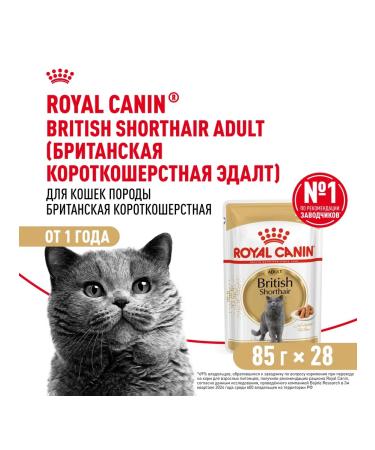 ROYAL CANIN British shorthair food for British cats 85 g x 28 pcs - Buy Online on GoSupps.com