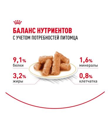 ROYAL CANIN British shorthair food for British cats 85 g x 28 pcs - Buy Online on GoSupps.com