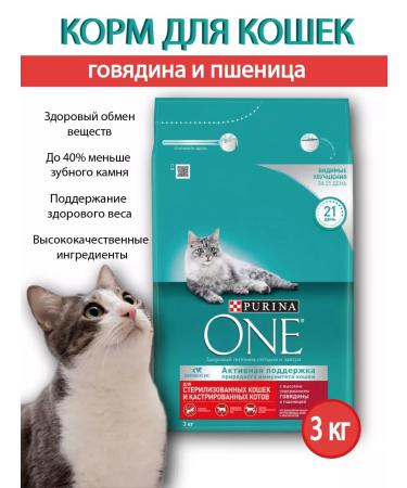 Purina Dry food Purin One for sterilized cats 3 kg