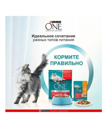 Purina Dry food Purin One for sterilized cats 3 kg - Buy Online on GoSupps.com