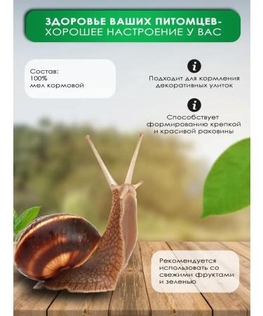 Aquaculinary Cretaceous top dressing for snails 300g - Buy Online on GoSupps.com