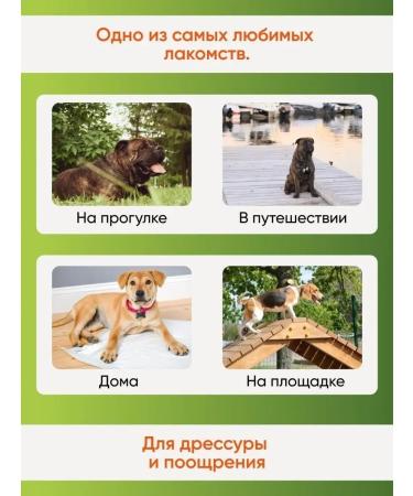 Favorite Light beef treat for dogs - Buy Online on GoSupps.com