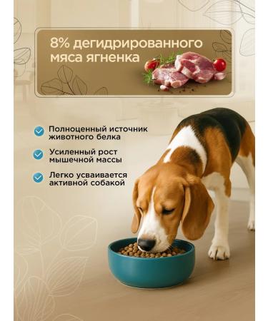 SECRET FOR PETS Dry food for dogs Secret Premium lamb and rice 2 kg - Buy Online on GoSupps.com