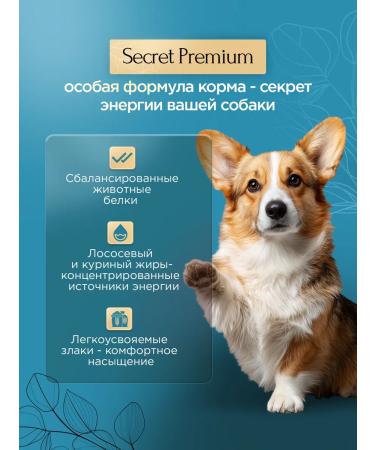 SECRET FOR PETS Dry food for dogs Secret Premium lamb and rice 2 kg - Buy Online on GoSupps.com