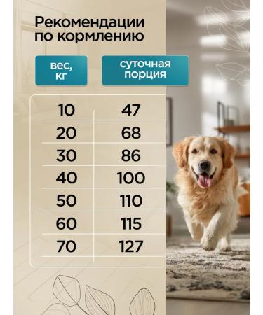 SECRET FOR PETS Dry food for dogs Secret Premium salmon and rice 2 kg - Buy Online on GoSupps.com