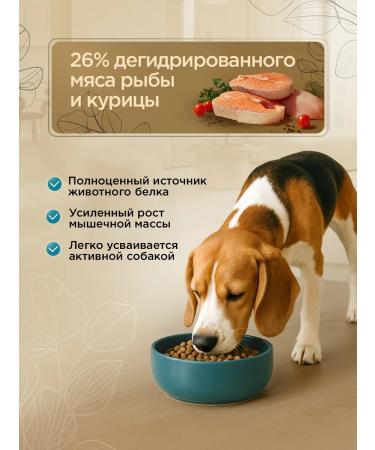 SECRET FOR PETS Dry food for dogs Secret Premium salmon and rice 2 kg - Buy Online on GoSupps.com
