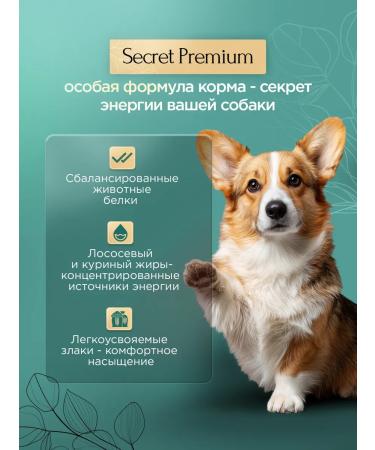 SECRET FOR PETS Dry food for dogs Secret Premium salmon and rice 2 kg - Buy Online on GoSupps.com
