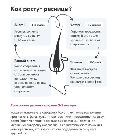 Toplash Eyelaw and eyebrows growth of 1.5 ml - Buy Online on GoSupps.com