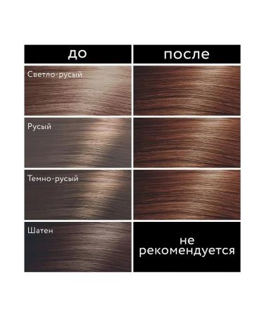 Studio Professional Hair dyeing chestnut shade 6.47 Ultra - Buy Online on GoSupps.com
