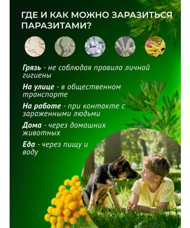 Sage Russian triplet from parasites - Buy Online on GoSupps.com