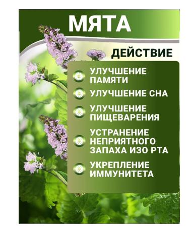 Aratai Peppermint - dried - Buy Online on GoSupps.com