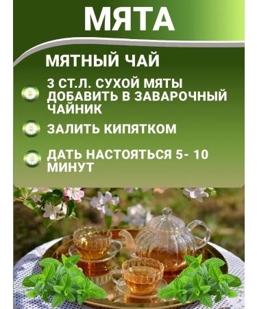 Aratai Peppermint - dried - Buy Online on GoSupps.com