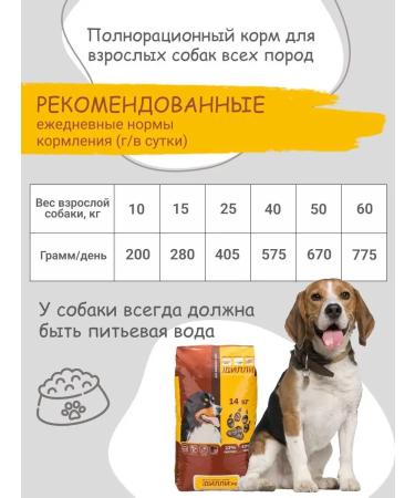 DILLY Dog food for dry stews of chicken with rice 14 kg - Buy Online on GoSupps.com