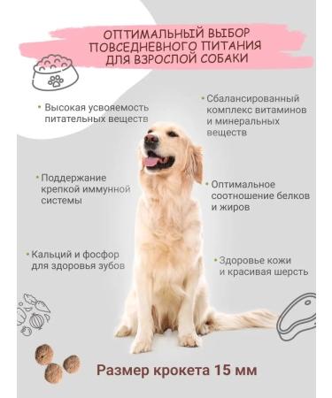 DILLY Dog food dry fish and rice 14 kg - Buy Online on GoSupps.com